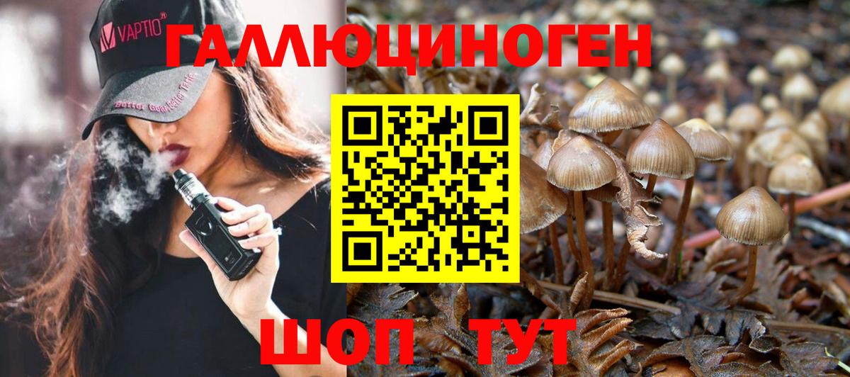Псилоцибиновые грибы Cubensis  Вход с VPN  цена   Галлюциногенные грибы Cubensis  Дзержинск 